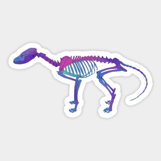 Fox Skeleton Diaphonized Specimen Sticker